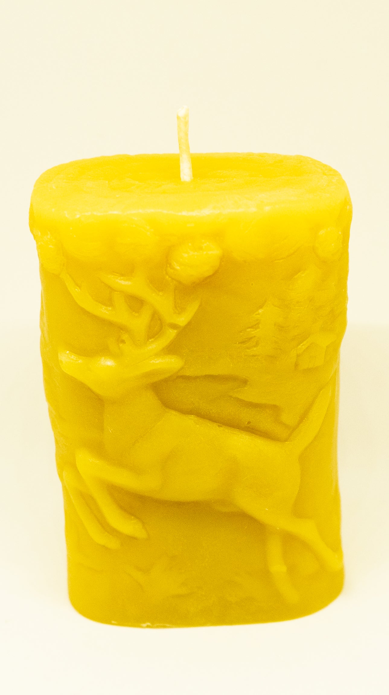 Bear and Elk Pillar