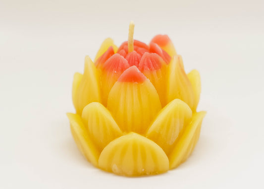 Lotus Bud